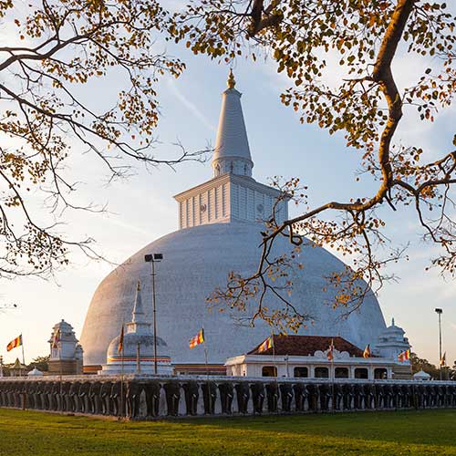 Sri Lanka, Holiday Packages, Travel Ideas, Things to do, Places to see, Safaris, Hotels, Visit Sri Lanka, Culture Trip, Religious Tour, Architecture Tour, Tour Package