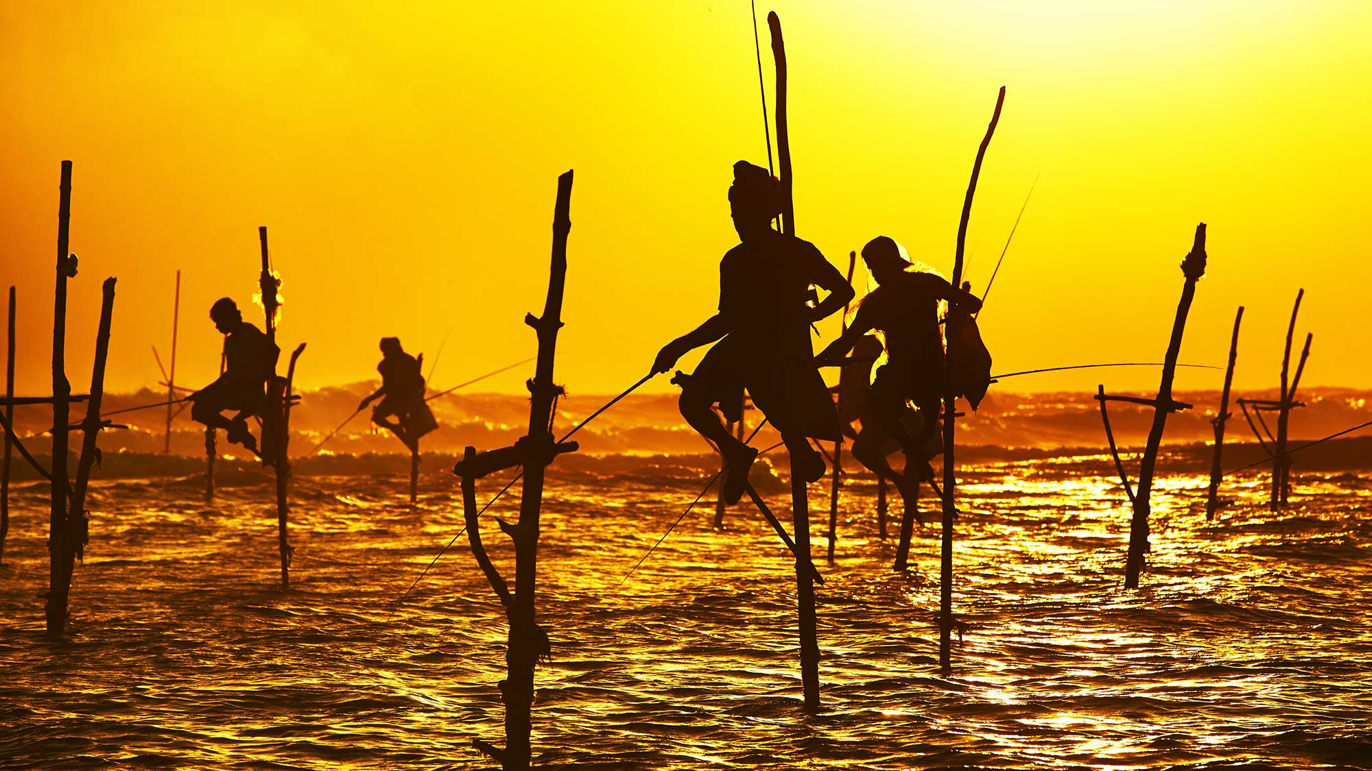 Holiday Packages, Travel Itineraries, Things to do, Sri Lanka, Sphere 360 Travel