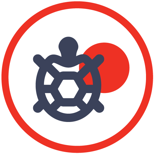 activities, excursions, things to do in sri lanka, holiday packages, travel, vacation, places to see, ceylon