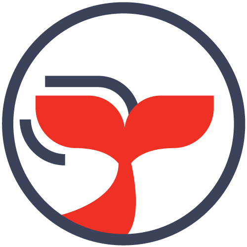 activities, excursions, things to do in sri lanka, holiday packages, travel, vacation, places to see, ceylon